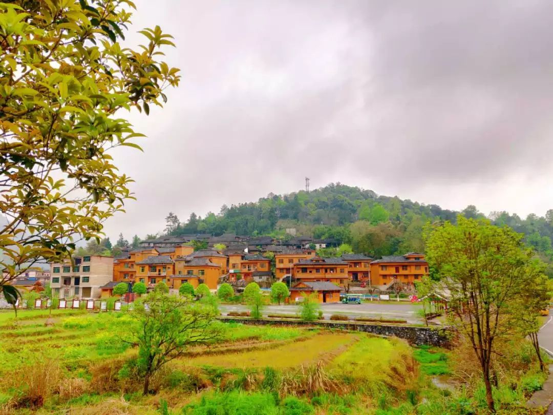 董事长唐树松 寻红色记忆，忆邓恩铭波澜一生